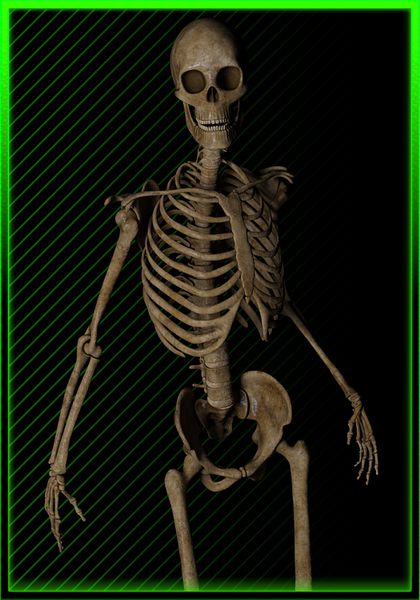 File:SkeletonWiki.jpg